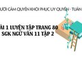 Bài 1 luyện tập trang 80 SGK Ngữ văn 11 tập 2