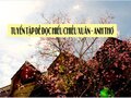 Tuyển tập đề đọc hiểu Chiều xuân của Anh Thơ
