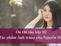 Ôn thi vào lớp 10 tác phẩm Ánh trăng của Nguyễn Duy
