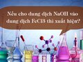 Nếu cho dung dịch NaOH vào dung dịch FeCl3 thì xuất hiện?
