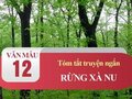 Tóm tắt truyện ngắn Rừng xà nu