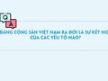 Đảng Cộng sản Việt Nam ra đời là sự kết hợp của các yếu tố nào?