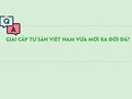 Giai cấp tư sản Việt Nam vừa mới ra đời đã?