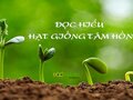 Tổng hợp đề đọc hiểu Hạt giống tâm hồn