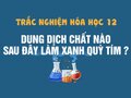 Dung dịch chất nào sau đây làm xanh quỳ tím ?