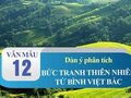 Dàn ý phân tích bức tranh thiên nhiên tứ bình