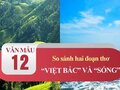 So sánh và cảm nhận hai đoạn thơ trong Việt Bắc và Sóng
