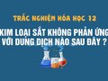 Ở nhiệt độ thường, kim loại Fe không phản ứng với dung dịch nào sau đây?