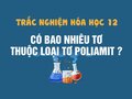 Có bao nhiêu tơ thuộc loại tơ poliamit ?