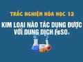 Kim loại nào sau đây tác dụng được với dung dịch FeSO4 ?