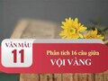 Phân tích 16 câu giữa bài Vội vàng