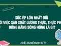 Sức ép lớn nhất đối với việc sản xuất lương thực, thực phẩm Đồng bằng sông Hồng
