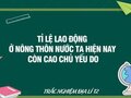 Tỉ lệ lao động ở nông thôn nước ta hiện nay còn cao chủ yếu do