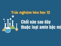 Chất nào sau đây thuộc loại amin bậc một ?