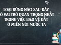 Loại rừng nào sau đây có vai trò quan trọng nhất trong việc bảo vệ đất ở miền núi nước ta