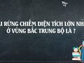 Loại rừng chiếm diện tích lớn nhất ở vùng Bắc Trung Bộ là ?