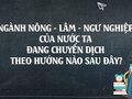 Ngành nông – lâm – ngư nghiệp của nước ta đang chuyển dịch theo hướng nào sau đây?