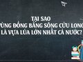 Tại sao vùng đồng bằng sông cửu long là vựa lúa lớn nhất cả nước? 