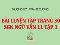 Bài luyện tập trang 30 SGK Ngữ văn 11 tập 1