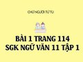 Bài 1 trang 114 SGK Ngữ văn 11 tập 1