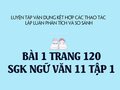 Bài 1 trang 120 SGK Ngữ văn 11 tập 1