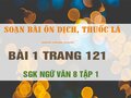 Bài 1 trang 121 SGK Ngữ văn 8 tập 1 