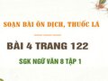 Bài 4 trang 122 SGK Ngữ văn 8 tập 1 