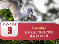 Cảm nhận hai câu thơ cuối bài Con cò (Chế Lan Viên)