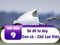 Sơ đồ tư duy Con cò - Chế Lan Viên