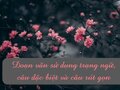 Đoạn văn sử dụng trạng ngữ, câu đặc biệt và câu rút gọn