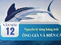 Nguyên lý tảng băng trôi trong tác phẩm Ông già và biển cả