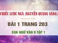 Bài 1 trang 203 SGK Ngữ văn 9 tập 1 (Chiếc lược ngà)