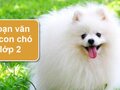 Top 13 đoạn văn tả con chó lớp 2