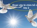 Đoạn văn tả con chim bồ câu lớp 2