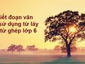 Viết đoạn văn có sử dụng từ láy và từ ghép lớp 6