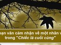 Đoạn văn cảm nhận về một nhân vật trong Chiếc lá cuối cùng
