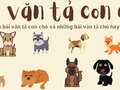 Tả con chó: 60+ mẫu bài văn tả chú chó hay nhất (có dàn ý)