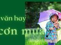 30+ bài văn tả cơn mưa hay nhất