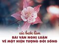 Các bước làm bài văn nghị luận về một hiện tượng đời sống đạt điểm cao