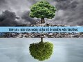 Nghị luận về ô nhiễm môi trường
