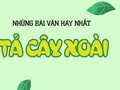 Tả cây xoài hay nhất - Tập làm văn lớp 4