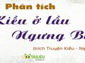 Phân tích đoạn trích Kiều ở lầu Ngưng Bích (trích Truyện Kiều - Nguyễn Du)