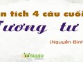Phân tích 4 câu thơ cuối bài thơ Tương  tư