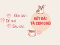 Kết bài tả con chó lớp 4: Những đoạn kết bài văn tả con chó hay nhất