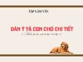 Dàn ý tả con chó: Cách lập dàn ý tả con chó đơn giản từ việc trả lời các câu hỏi