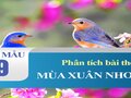 Phân tích bài thơ Mùa xuân nho nhỏ của Thanh Hải