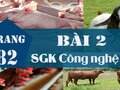 Bài 2 trang 82 SGK Công nghệ 7