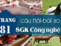 Câu hỏi bài 30 trang 81 SGK Công nghệ 7