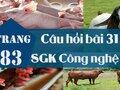Câu hỏi bài 31 trang 83 SGK Công nghệ 7