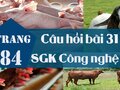 Câu hỏi bài 31 trang 84 SGK Công nghệ 7